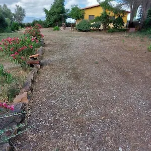 Alloggio per agriturismo Agriturismo I 13 Pini Di Putzu Anna Maria, Giba
